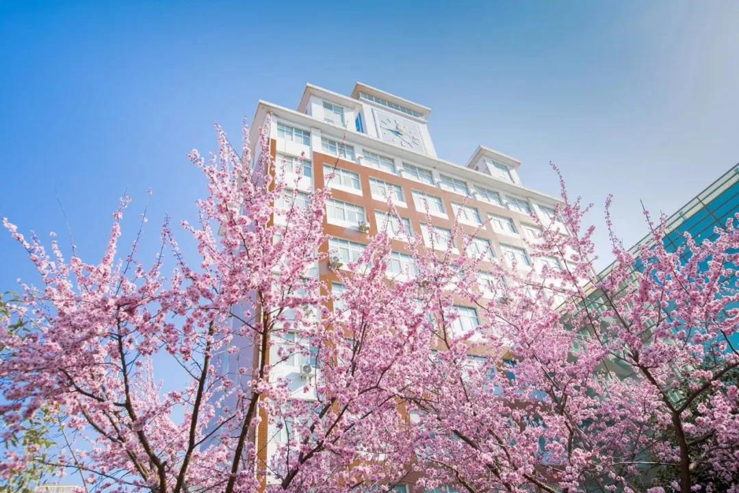 『金海岸』日照市金海岸小学举行“我有美景你有诗”活动