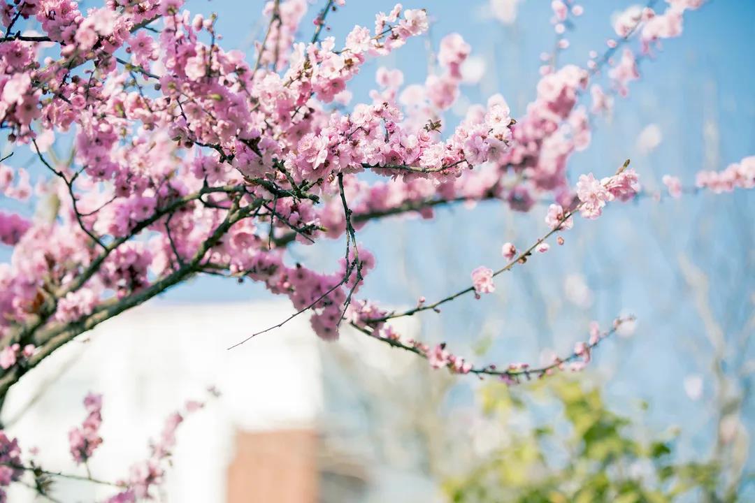 『金海岸』日照市金海岸小学举行“我有美景你有诗”活动