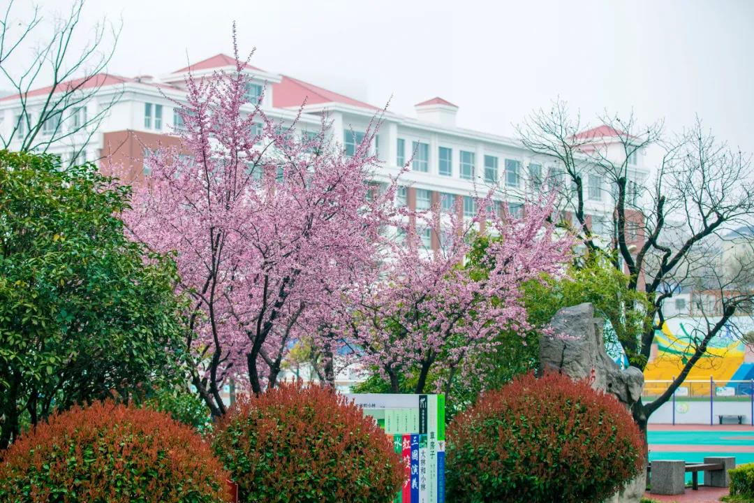 『金海岸』日照市金海岸小学举行“我有美景你有诗”活动