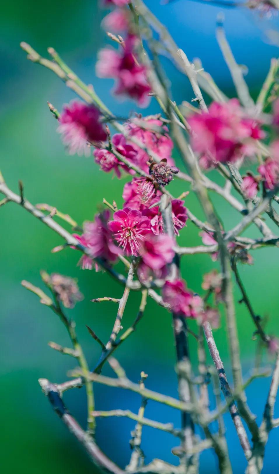 『金海岸』日照市金海岸小学举行“我有美景你有诗”活动