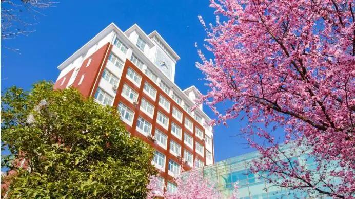 『金海岸』日照市金海岸小学举行“我有美景你有诗”活动