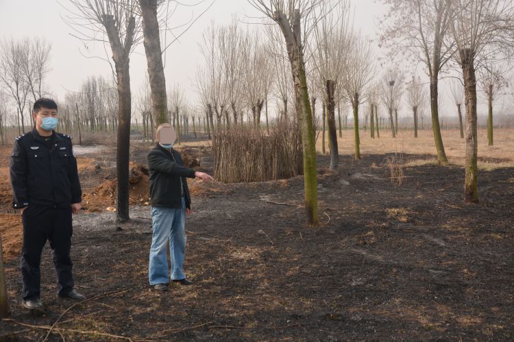 『刑责』上坟引山火小心担刑责 即墨一农妇上坟烧死千万余元黑松获刑