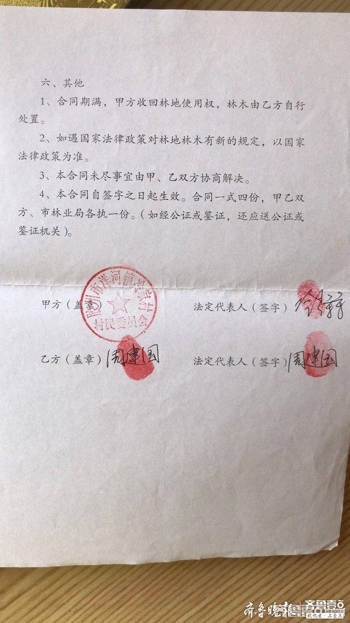 65：签65年才干12年 胶州洋河镇冷家庄村垦荒合同未到期遭村委“喊停”
