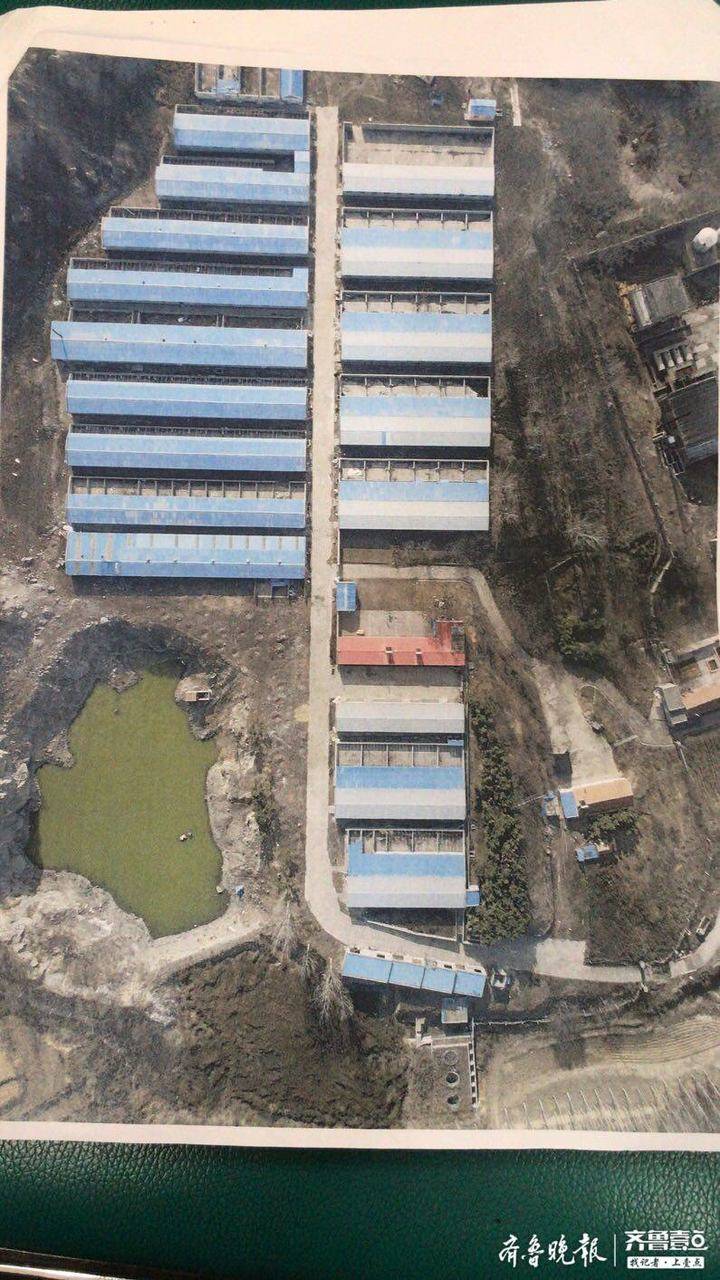 65：签65年才干12年 胶州洋河镇冷家庄村垦荒合同未到期遭村委“喊停”