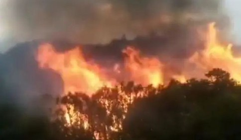 四川木里森林火灾：五架直升机投入灭火战斗 超两千人参与扑救