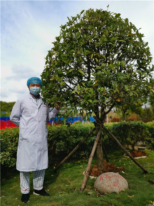 『清零』青大附院援鄂医生崔昌星：坚守50天 迎来重症病区清零