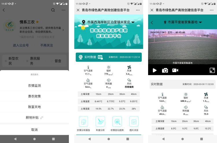 #农情#青岛“农情监测”微信服务上线 随时随地了解农情信息