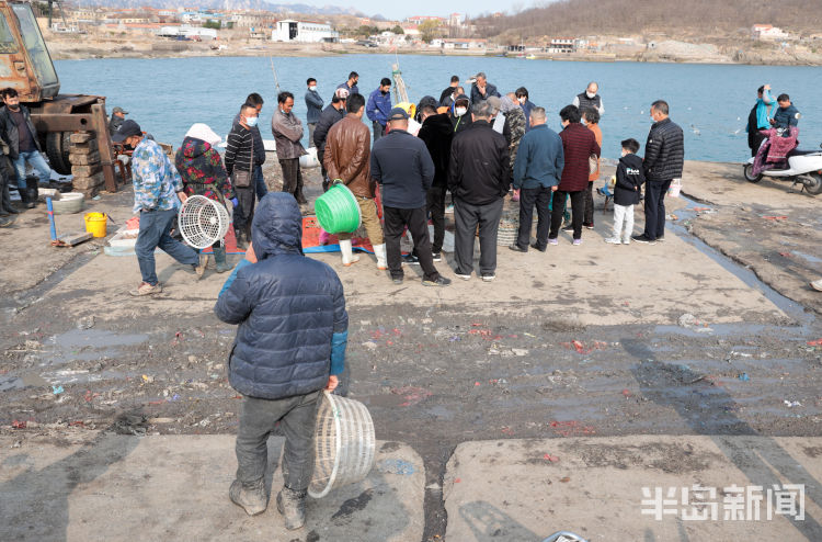 上岸■青岛崂山区沙子口南姜码头虾虎供不应求 约五十元一斤