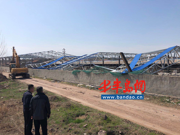 「违建」胶州：铁腕整治违建千余平方米钢结构违法建筑被拆除