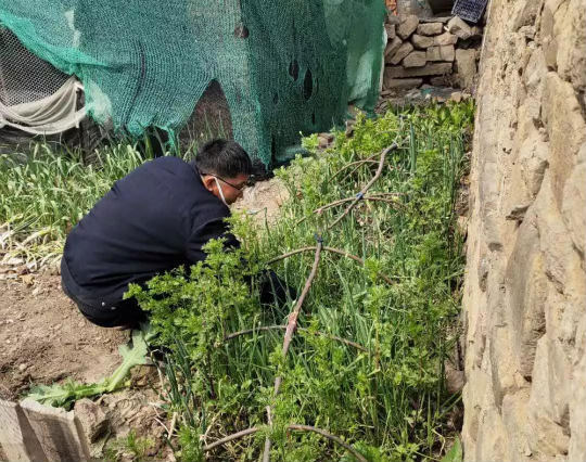 禁种：从严从重查处 即墨通济街道开展“禁种铲毒”专项行动