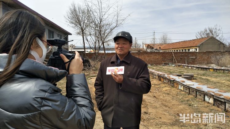 『小蜜蜂』小蜜蜂“改行”授粉 青岛一老蜂农靠往外租蜜蜂挣11万