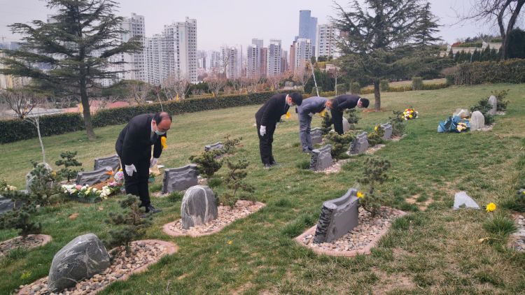 「代为」追思故人、慰藉生者 青岛市2020年清明节代为公祭仪式2日上午举行