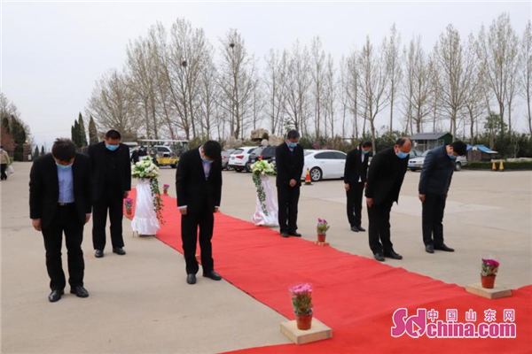 「祭扫」网祭、代祭、错时祭扫 山东开启文明祭扫新风尚