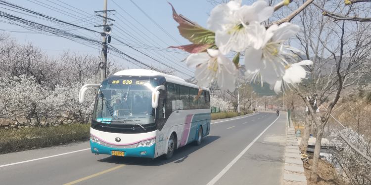 【复运超】清明出行别发愁 省内客运班线首推“定制旅游直通车”