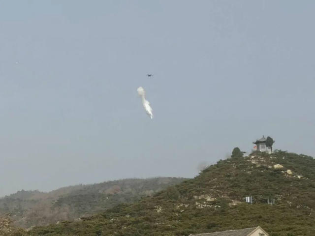 『演练』山东省消防救援总队组织开展森林火灾拉动演练