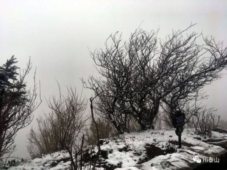 20@山东转晴升温冲击20℃ 清明节阵风来袭注意防风防火