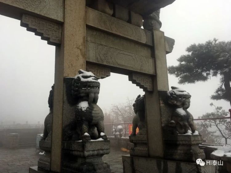 20@山东转晴升温冲击20℃ 清明节阵风来袭注意防风防火