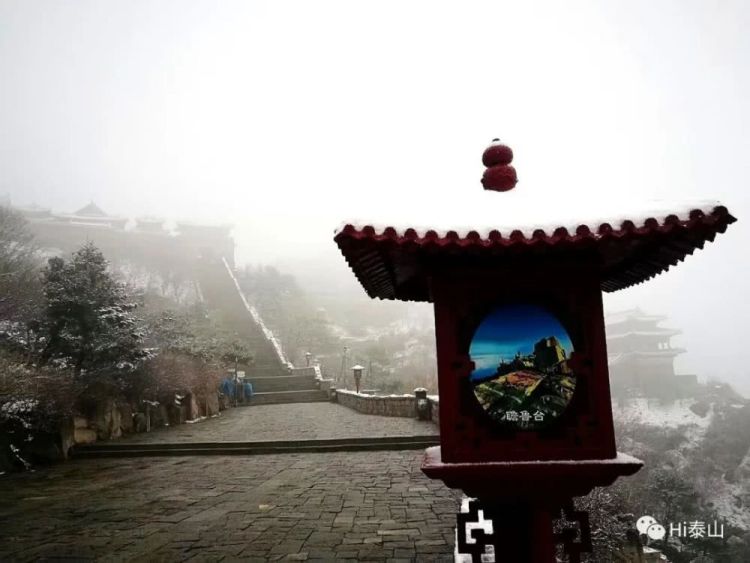 20@山东转晴升温冲击20℃ 清明节阵风来袭注意防风防火