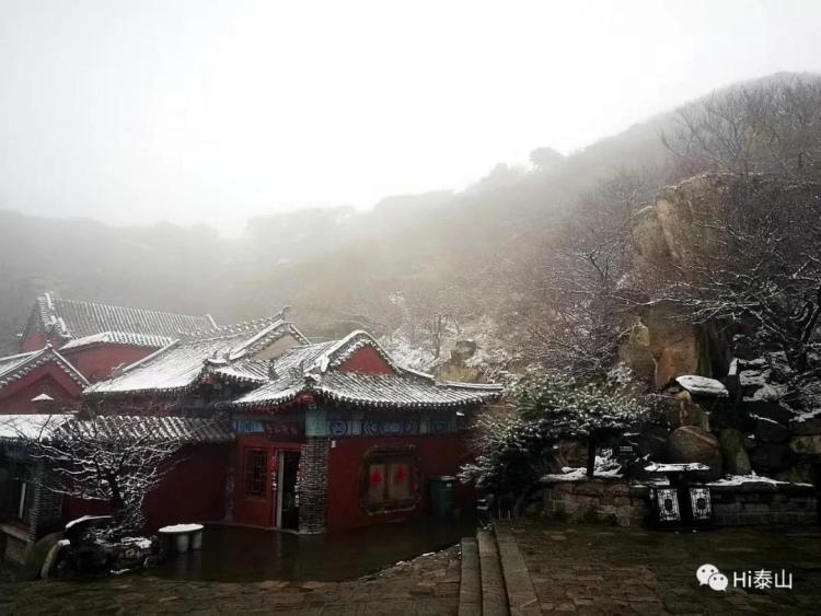 20@山东转晴升温冲击20℃ 清明节阵风来袭注意防风防火