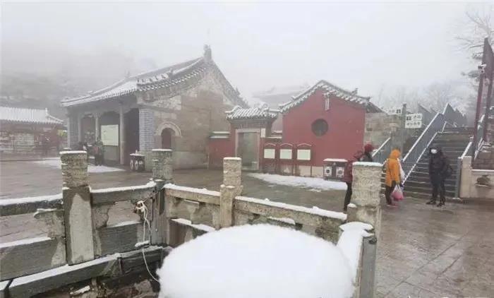 20@山东转晴升温冲击20℃ 清明节阵风来袭注意防风防火