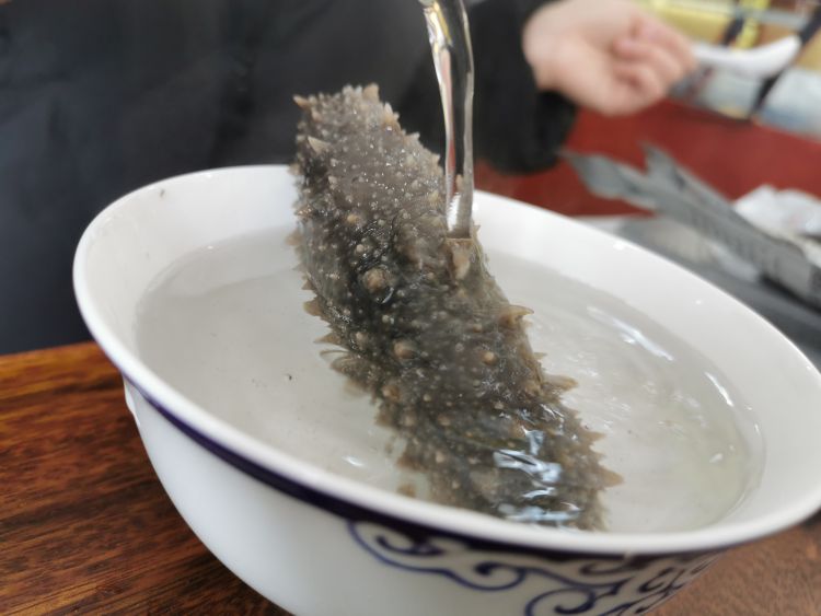 『海参』半岛直采火热直销 “三分钟”鲜食海参优惠进行中