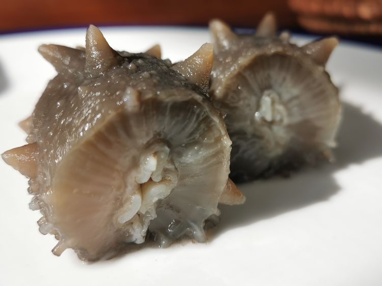 『海参』半岛直采火热直销 “三分钟”鲜食海参优惠进行中