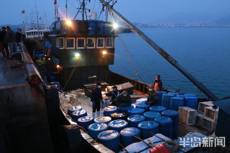 [鲅鱼]青岛：2020沙子口鲅鱼节4月3日启幕 新鲜鲅鱼送给白衣战士