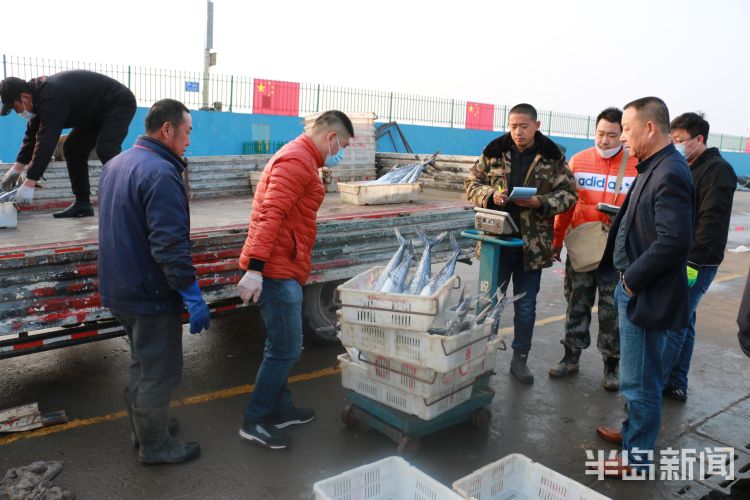 [鲅鱼]青岛：2020沙子口鲅鱼节4月3日启幕 新鲜鲅鱼送给白衣战士