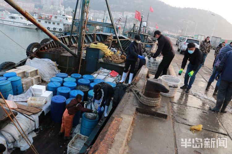 [鲅鱼]青岛：2020沙子口鲅鱼节4月3日启幕 新鲜鲅鱼送给白衣战士