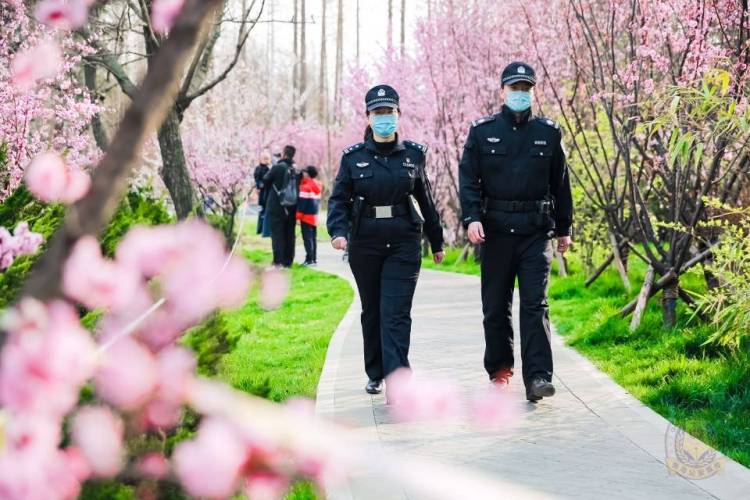 「城之约」“樱”你而来 青岛公安发出“青”城之约平安贴
