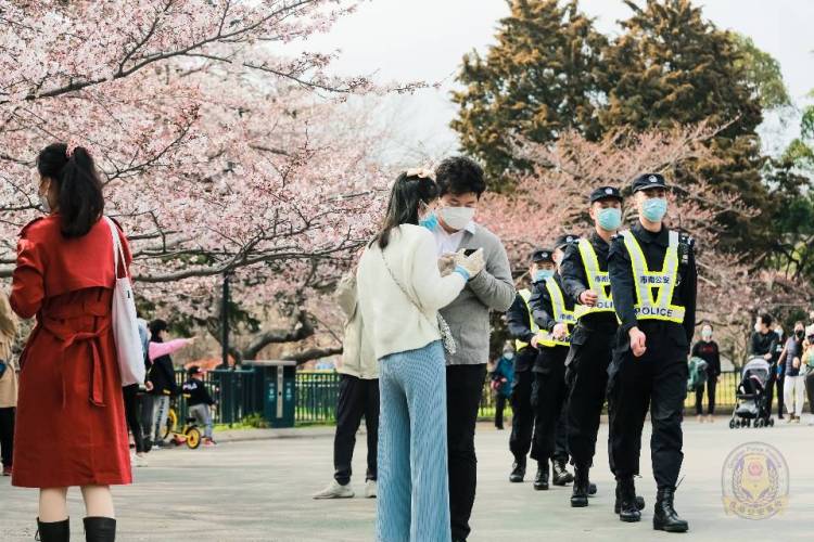 「城之约」“樱”你而来 青岛公安发出“青”城之约平安贴