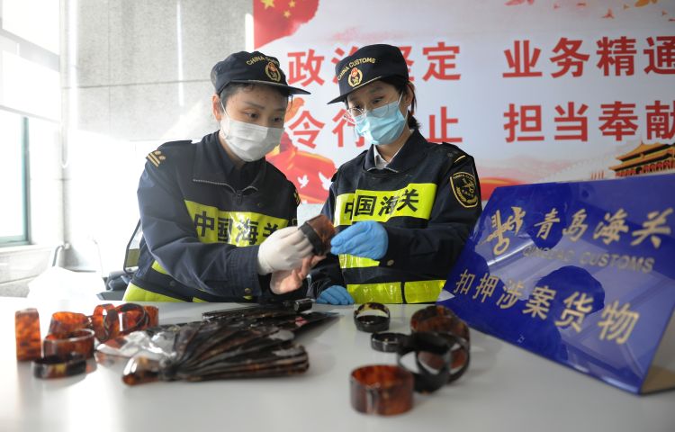 『夹藏』进口水晶原石里夹藏海马干等珍贵动物制品48件被青岛海关查获