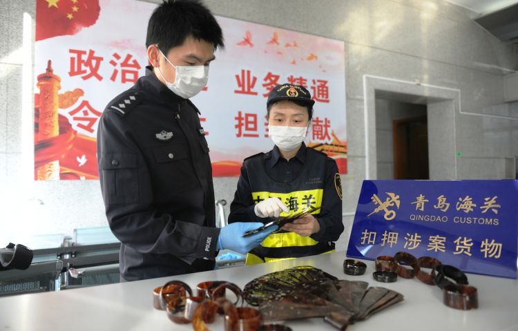 『夹藏』进口水晶原石里夹藏海马干等珍贵动物制品48件被青岛海关查获