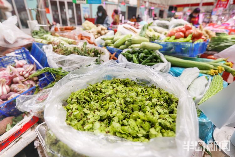 「榆钱」清明节至榆钱上市 爱吃的市民不要错过