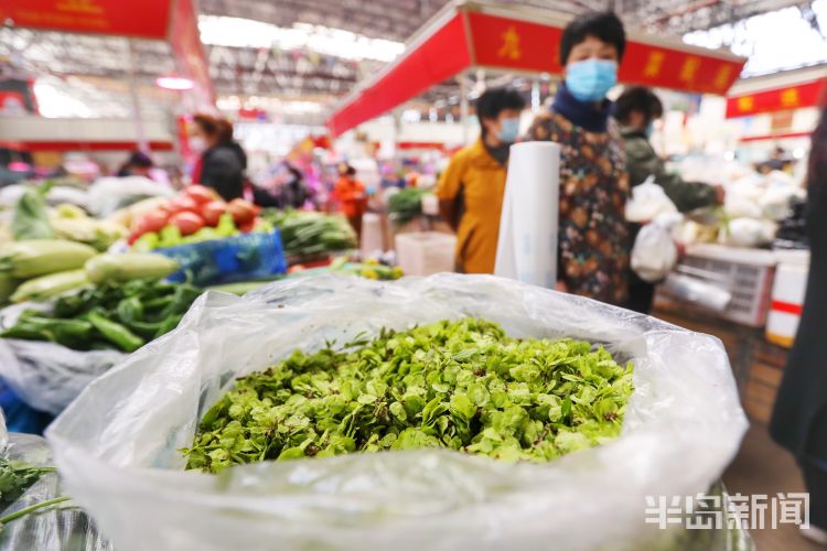 「榆钱」清明节至榆钱上市 爱吃的市民不要错过