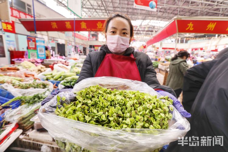「榆钱」清明节至榆钱上市 爱吃的市民不要错过