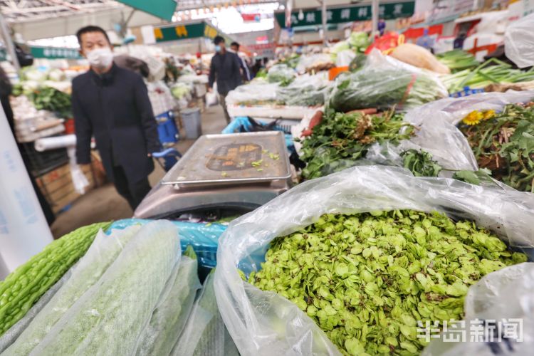 「榆钱」清明节至榆钱上市 爱吃的市民不要错过