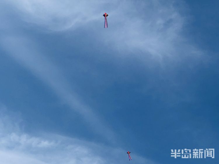 『纸鸢』感受春光里的勃勃生机 青岛白沙河海边小广场上空纸鸢飞舞