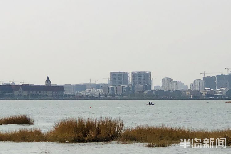 『纸鸢』感受春光里的勃勃生机 青岛白沙河海边小广场上空纸鸢飞舞