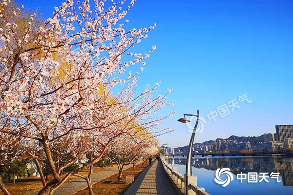 『青岛』4月6日山东持续晴暖青岛最高温21℃ 8日、10日青岛有阵雨