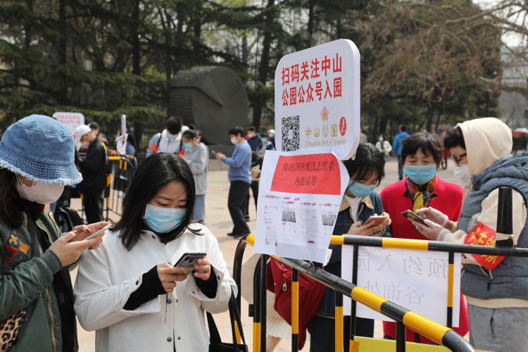 「扫码」青岛中山公园樱花绽放 假期最后一天不少市民预约扫码入园