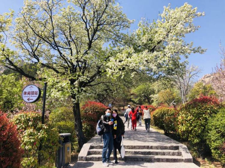 「4.2」清明假期三天崂山接待游客4.2万人次 客流平稳秩序良好
