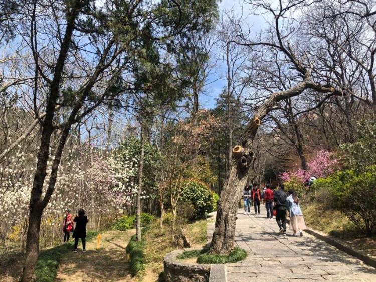 「4.2」清明假期三天崂山接待游客4.2万人次 客流平稳秩序良好