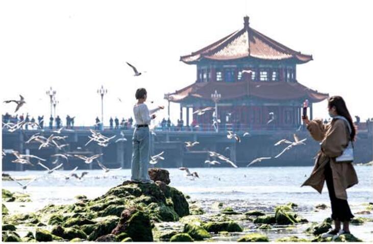 等成■清明假期崂山、中山公园、栈桥等成青岛市民踏青热门之选