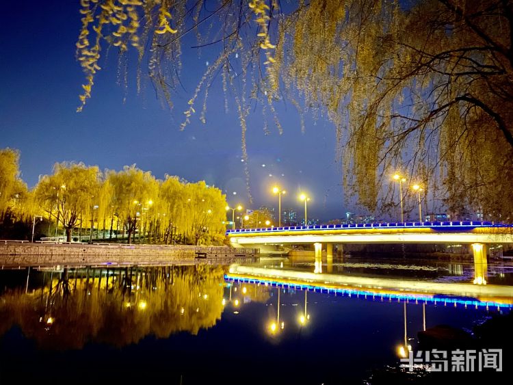 『李村河』灯光摇曳繁花似锦 夜游李村河看不一样的美景