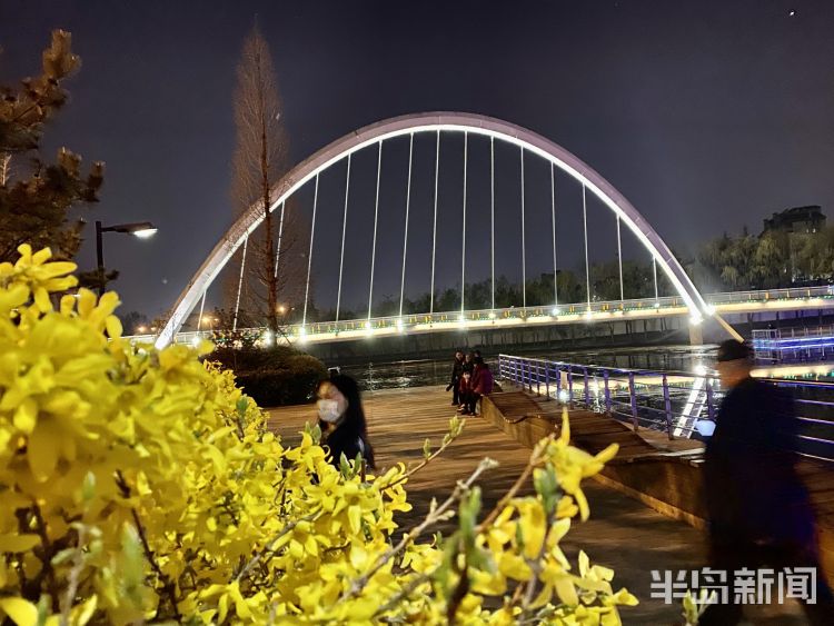 『李村河』灯光摇曳繁花似锦 夜游李村河看不一样的美景