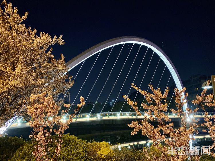 『李村河』灯光摇曳繁花似锦 夜游李村河看不一样的美景