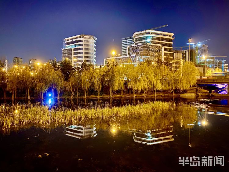 『李村河』灯光摇曳繁花似锦 夜游李村河看不一样的美景