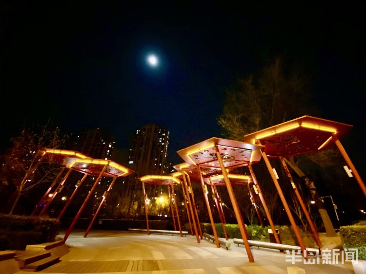 『李村河』灯光摇曳繁花似锦 夜游李村河看不一样的美景