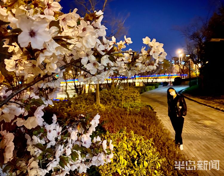 『李村河』灯光摇曳繁花似锦 夜游李村河看不一样的美景